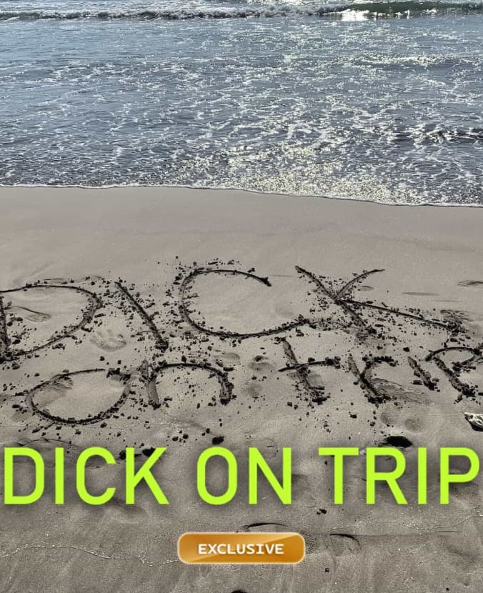 Dick στο ταξίδι